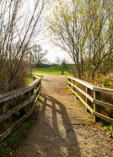 Gallery Manor Lane#